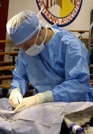 Student at RAVS clinic