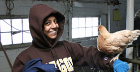 Chumkee with chicken