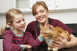 girl_vet_cat_250x167.jpg
