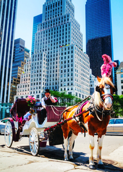 horse_carriage_central_park_250x350.jpg