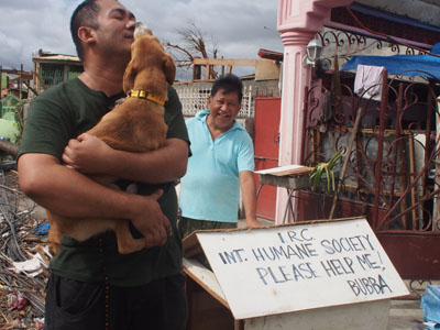 hsi_haiyan_napoles_dog_400x300.jpg