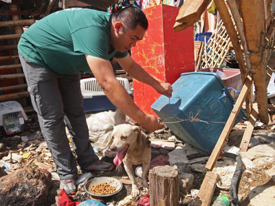 hsi_haiyan_napoles_dog_rescue