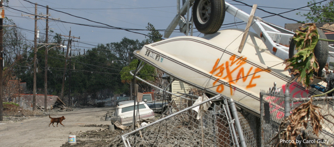 katrina_ninthward_dog_empty_street_680x300.jpg