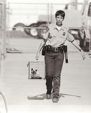 Dr. Kate Hurley in her former life as an animal control officer (credit: Schmuel Thaler/Santa Cruz Sentinel)