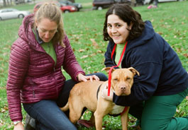 Vaccinating dog at Philadelphia Pets for Life event