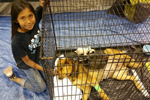 Erin keeps a watchful eye over her dog, Coco, as she recovers from surgery