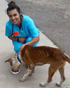 ravs2015_sancarlos_rsolano_stray_dog.jpg