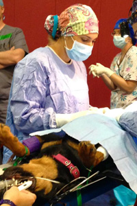 ravs2015_sancarlos_rsolano_surgery.jpg