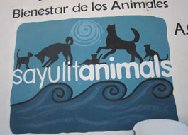 Sayulitanimals sign