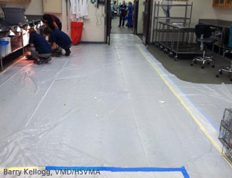 wsd14_uf_plastic_covering_floor.jpg